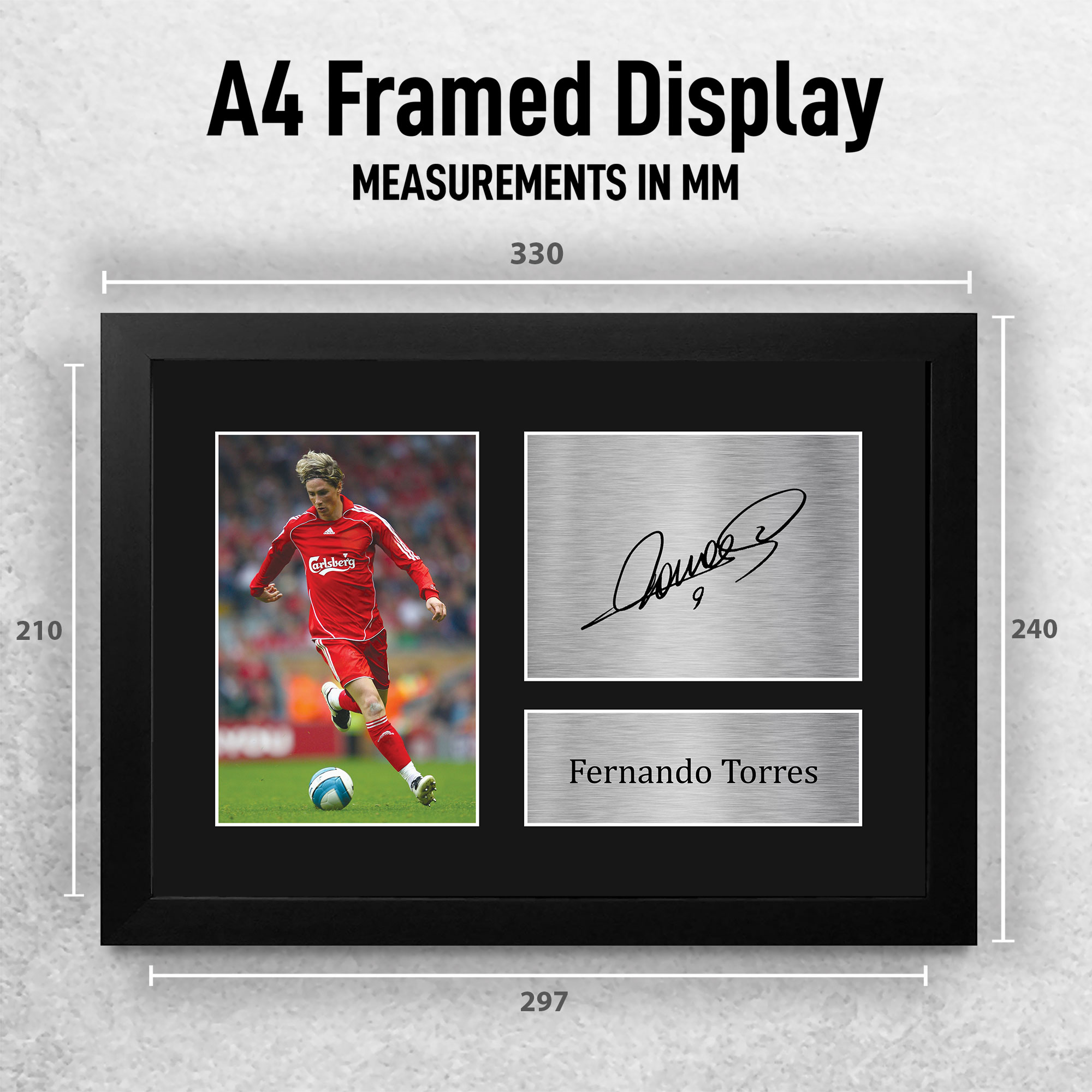 Fernando Torres Signed Printed Autograph Photo Memorabilia Gift | eBay