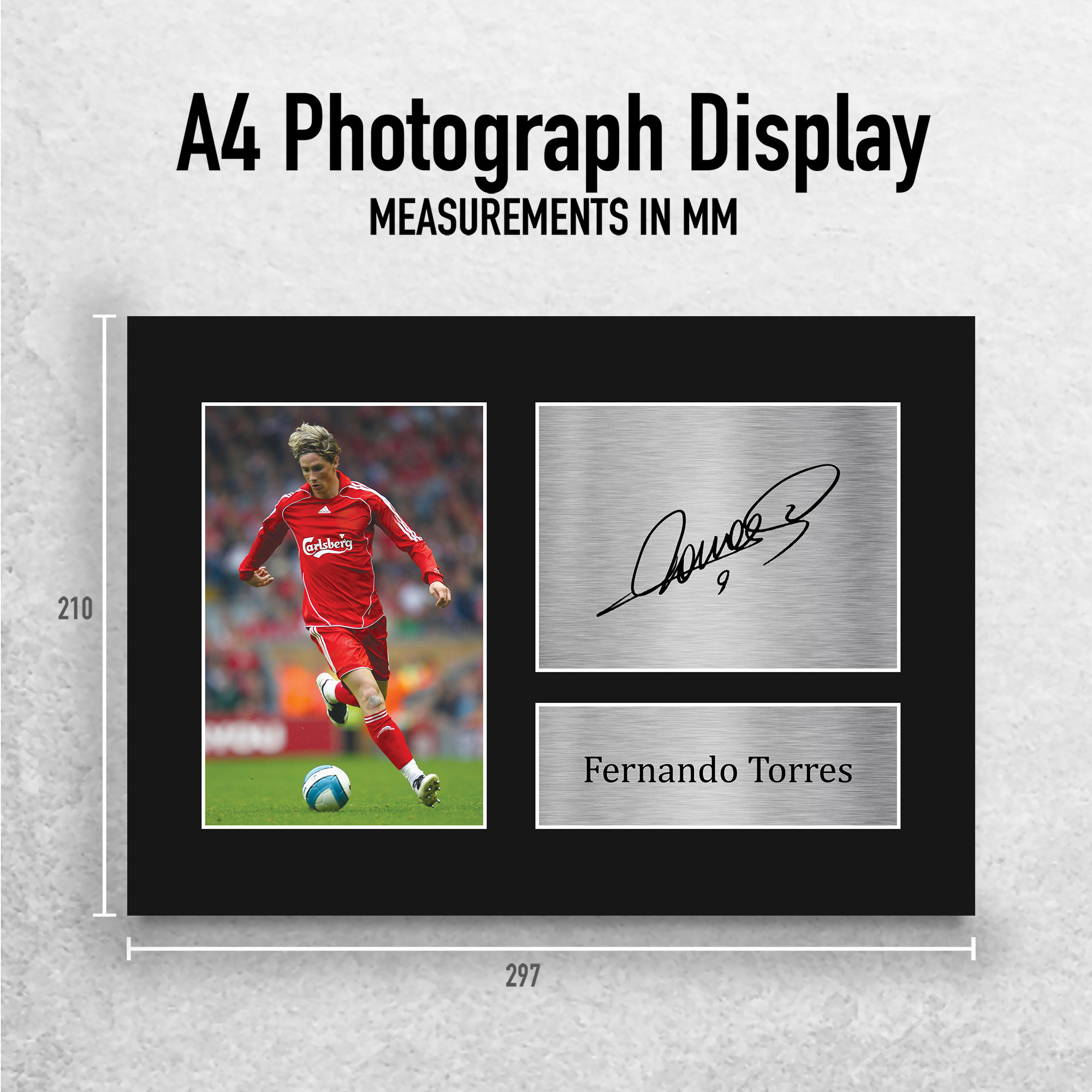 Fernando Torres Signed Printed Autograph Photo Memorabilia Gift | eBay