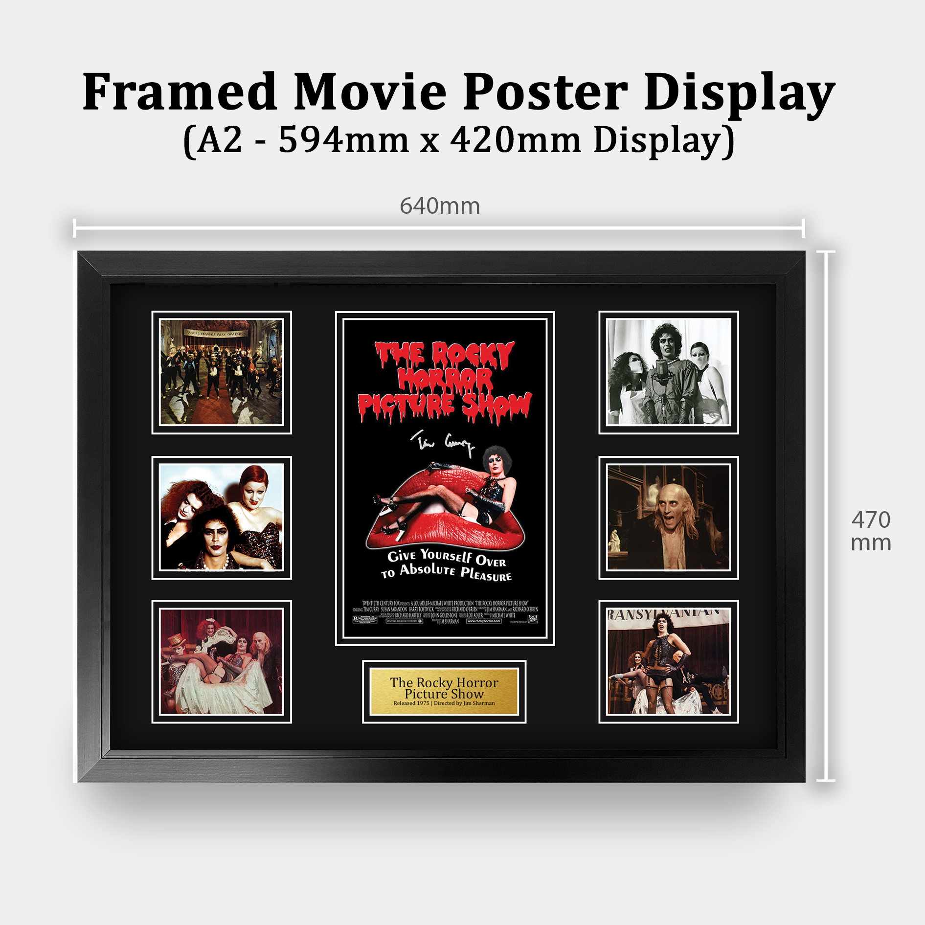 The Rocky Horror Picture Show Gift Framed Autograph Picture Print to Movie Fans - Picture 54 of 59