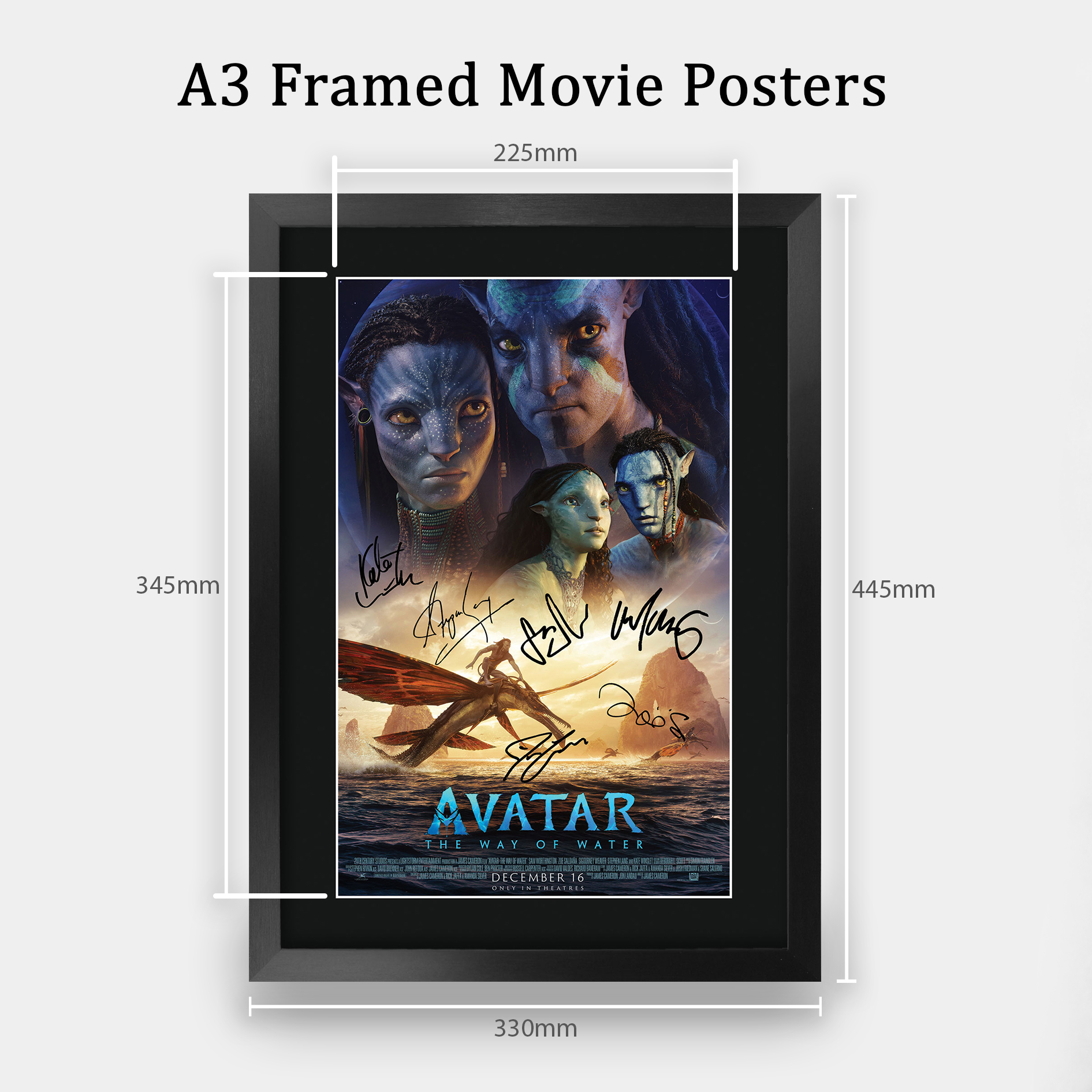 Harry Potter Malfoys Framed Autograph Picture - Jason Isaacs, Tom Felton & Helen McCrory Signed Print - View #4