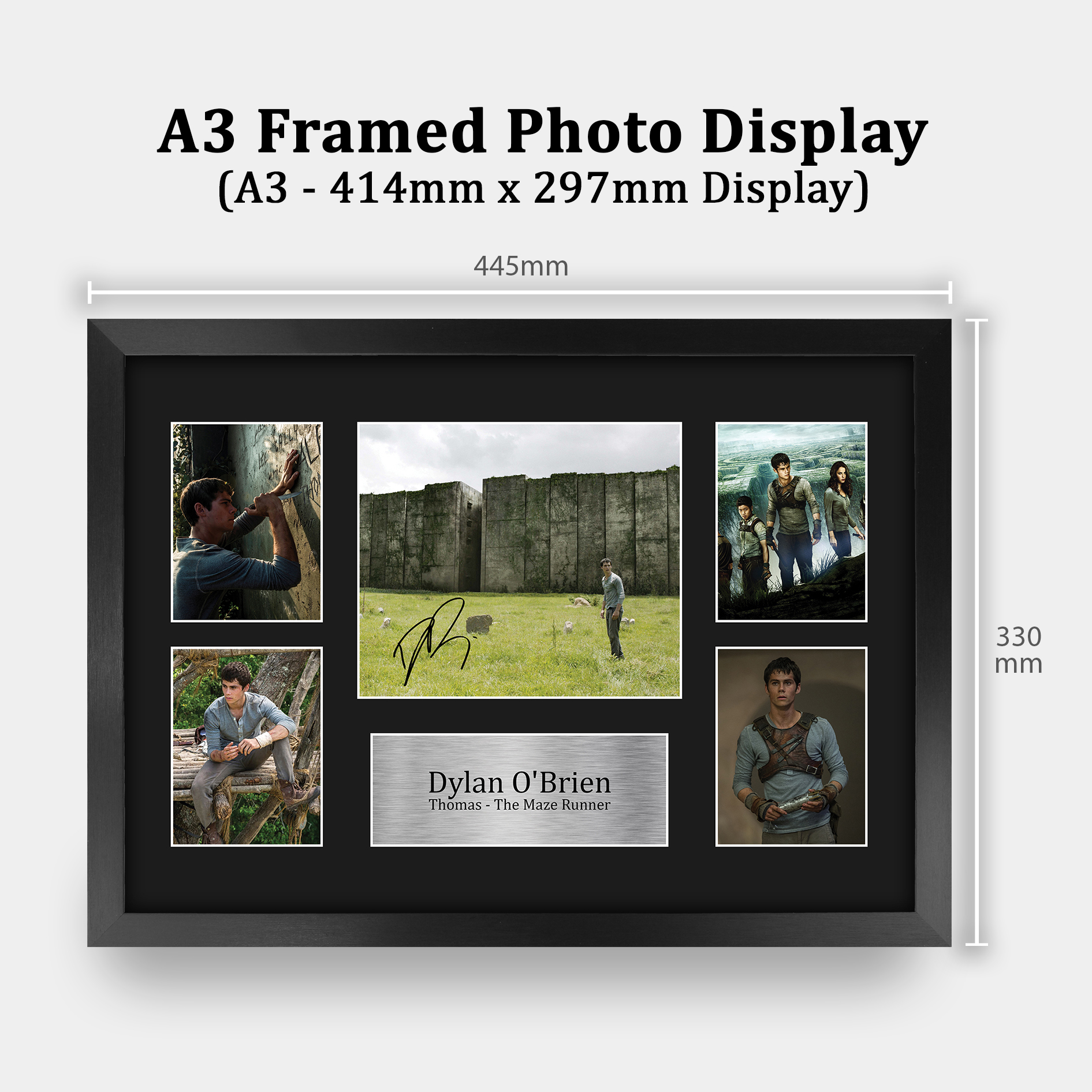 Dylan O'Brien Maze Runner Gift Signed Autograph A4 Picture Print to Movie Fans - Picture 19 of 24