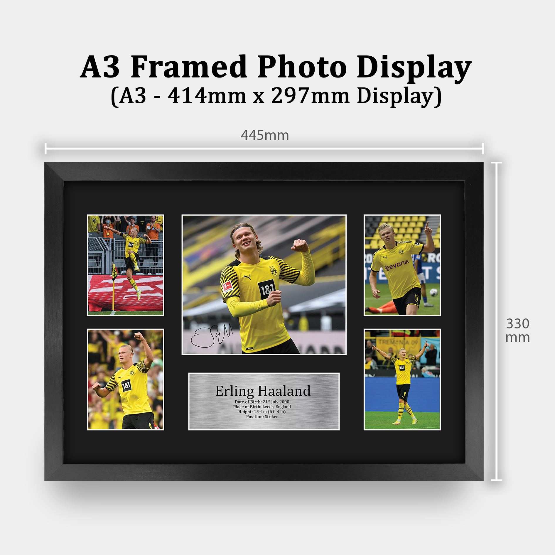 Erling Haaland A4 Borussia Dortmund Printed Autographed Picture for Football Fan - Picture 19 of 24