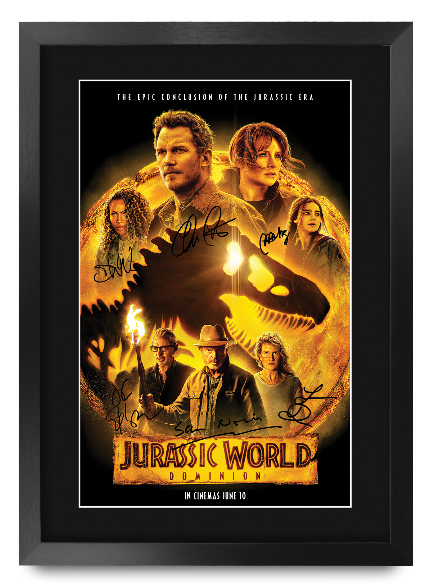 Jurassic Park Excellent Gift Idea Printed A3 Poster Signed Picture for Movie Fan - Picture 32 of 49