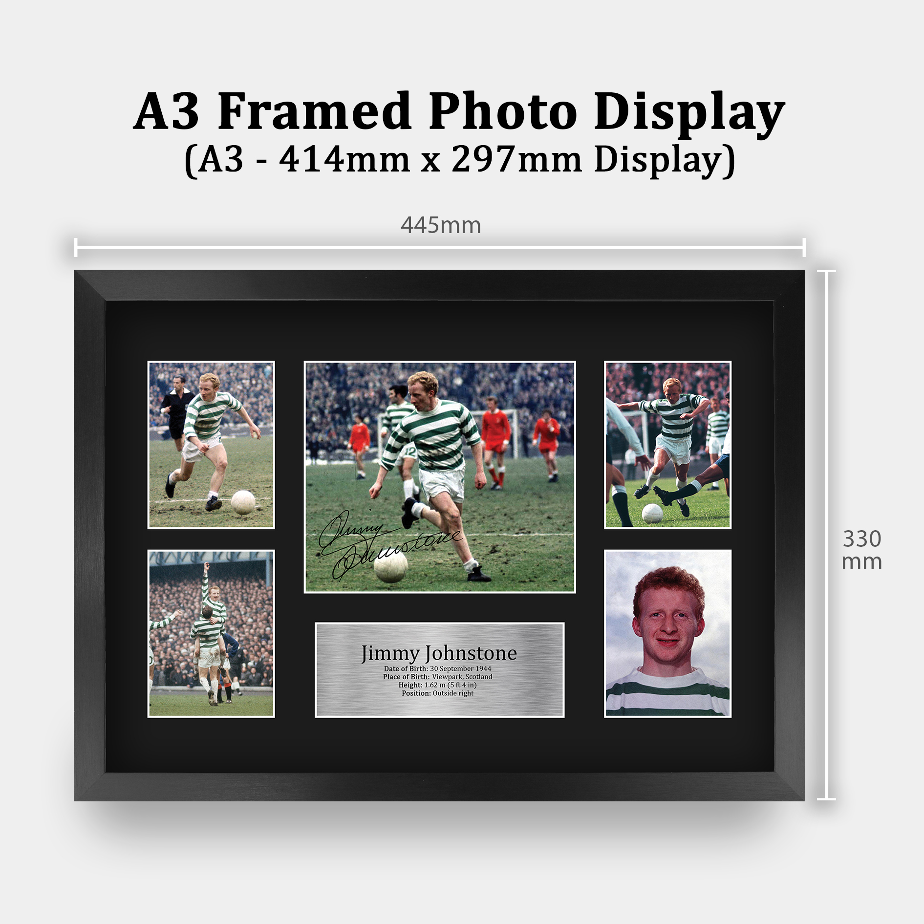 Picture 74 of 79