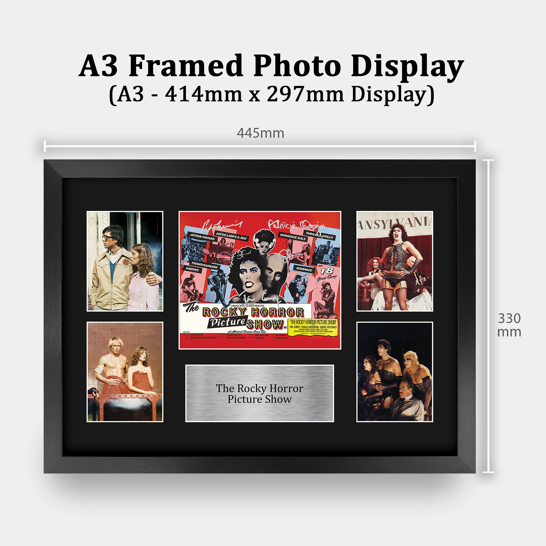 The Rocky Horror Picture Show Gift Framed Autograph Picture Print to Movie Fans - Picture 26 of 59