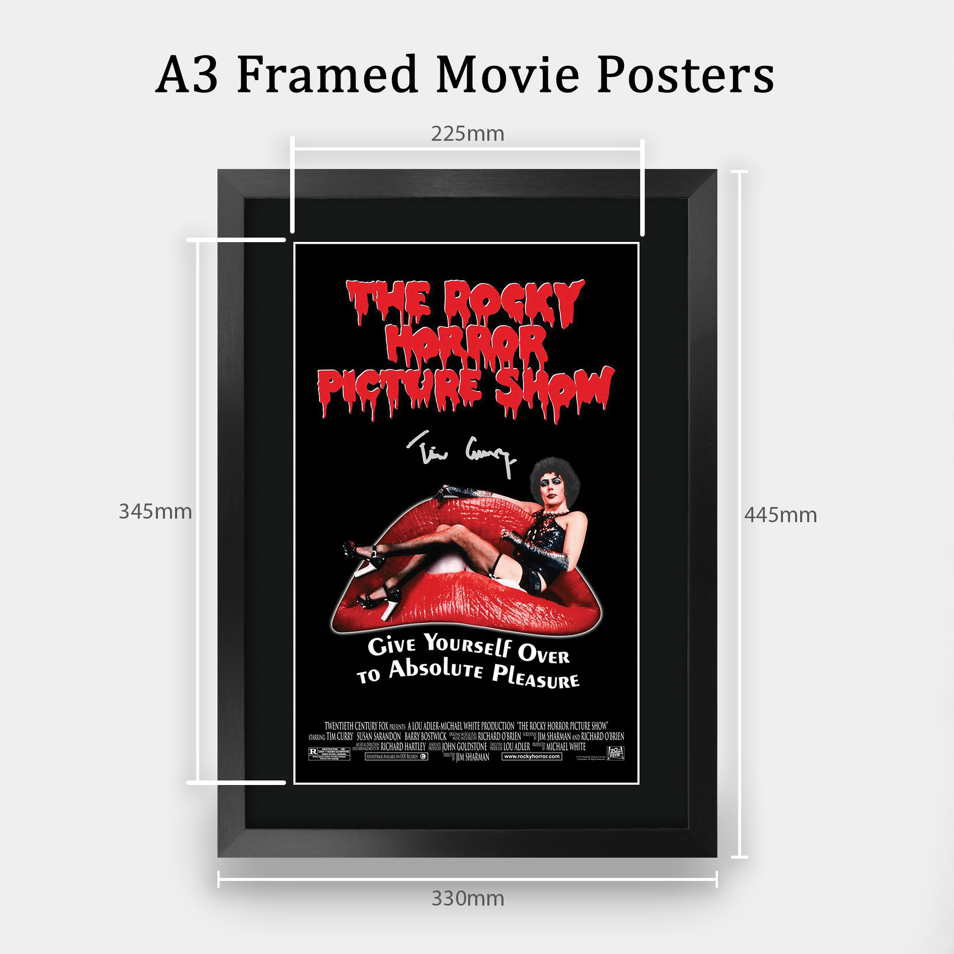 The Rocky Horror Picture Show Gift Framed Autograph Picture Print to Movie Fans - Picture 47 of 59