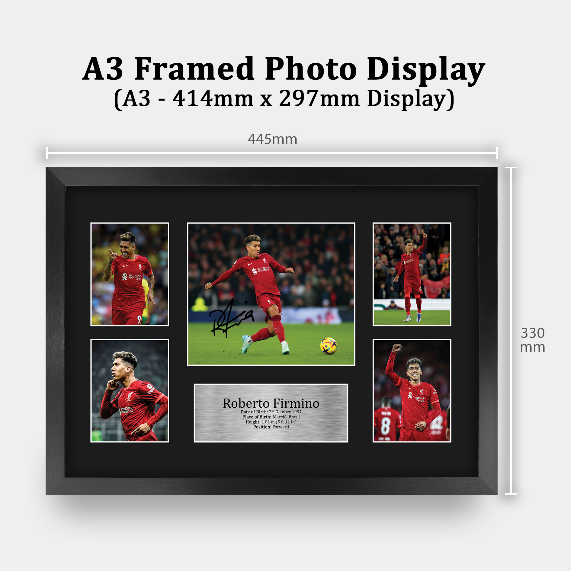 Autografo Roberto Firmino firmato A4 incorniciato stampato Liverpool stampa LFC regalo - Foto 19 di 24