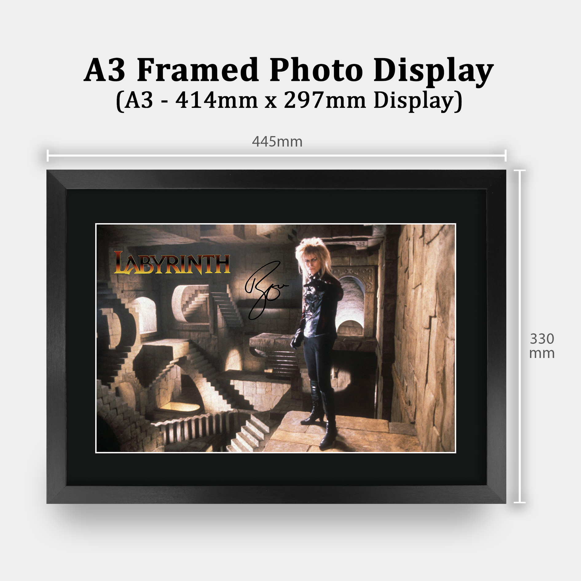 Labyrinth Ideal Gift Printed Framed Autograph Picture to Movie Memorabilia Fans - Picture 3 of 45