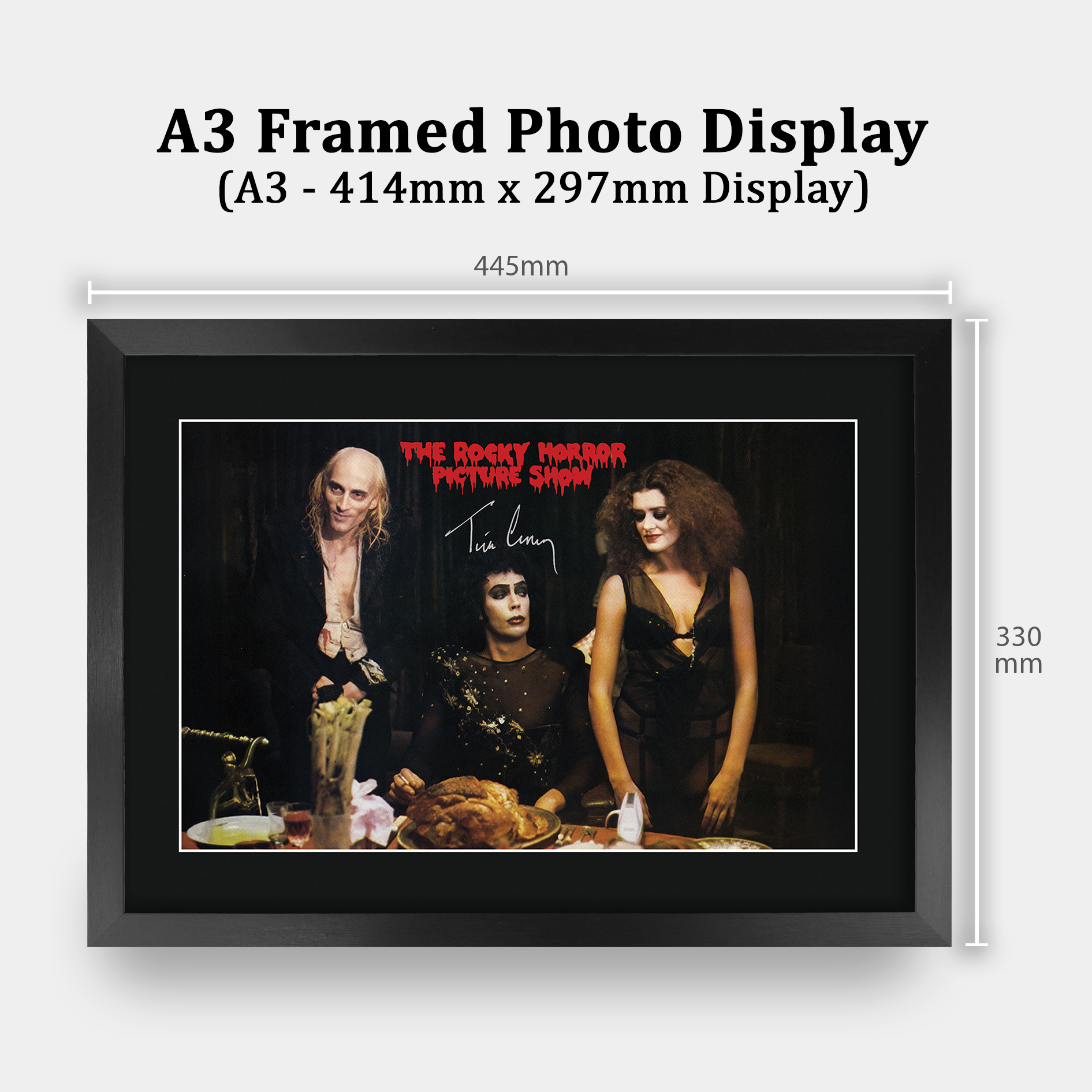 The Rocky Horror Picture Show Gift Framed Autograph Picture Print to Movie Fans - Picture 33 of 59