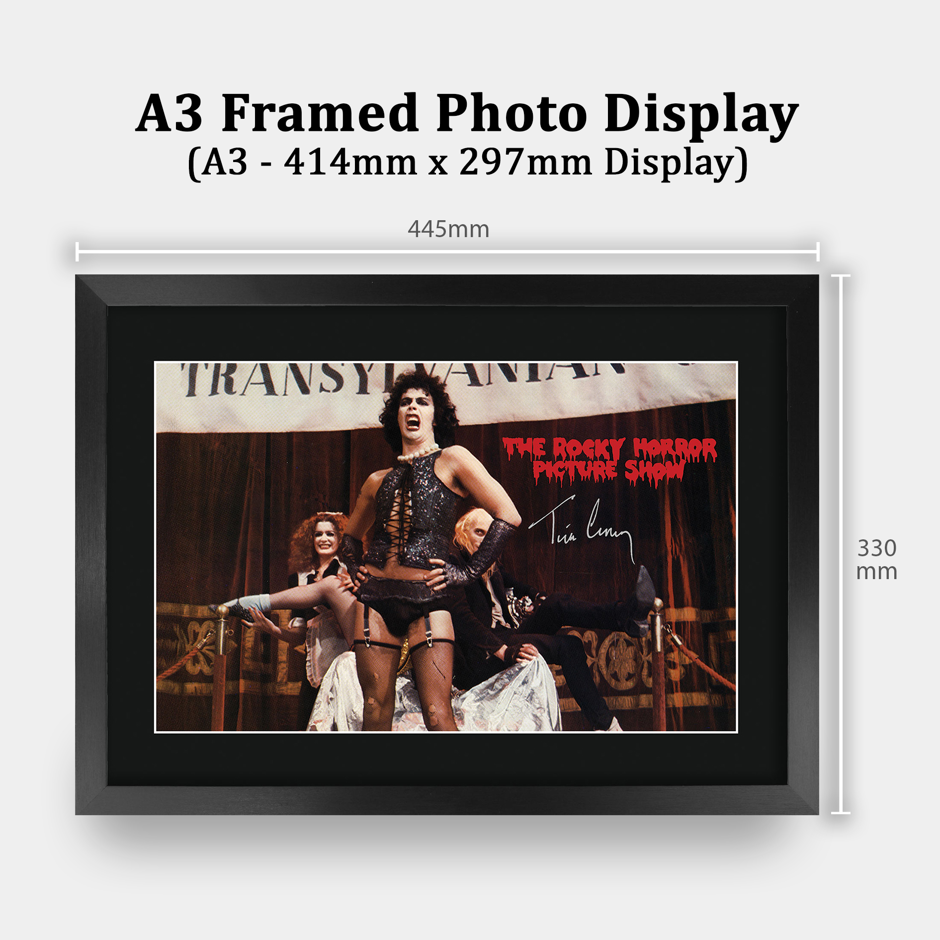 The Rocky Horror Picture Show Gift Framed Autograph Picture Print to Movie Fans - Picture 40 of 59