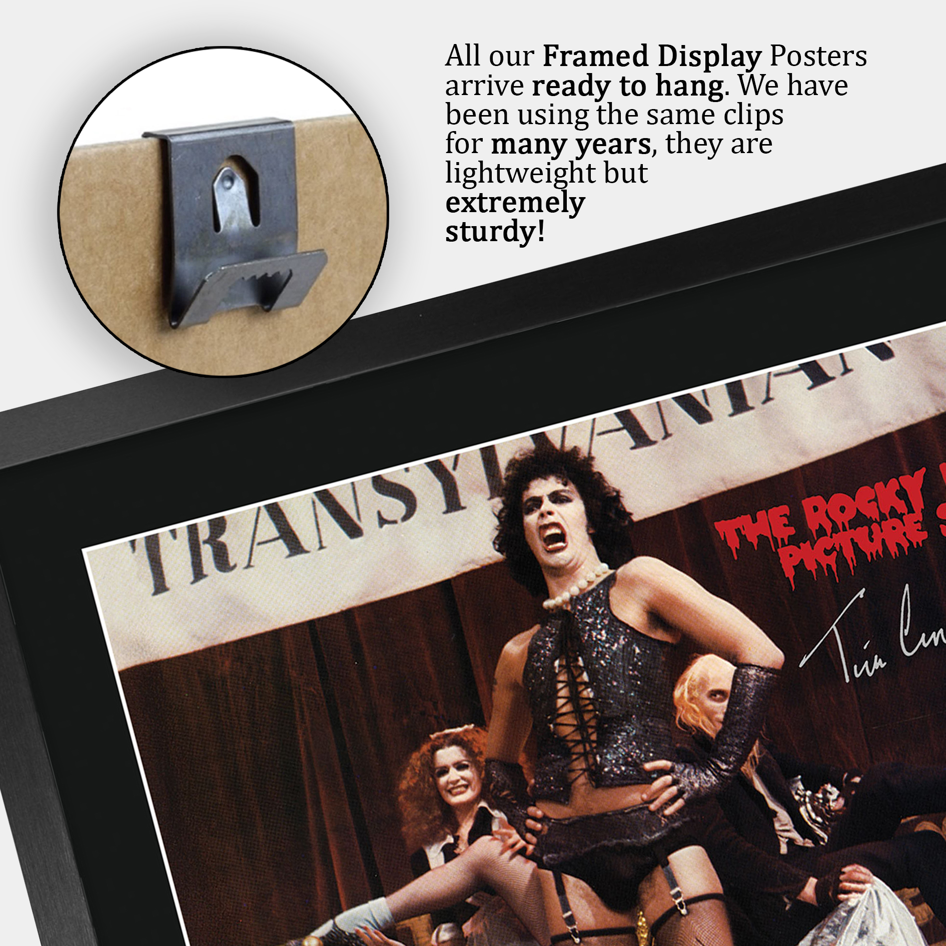 The Rocky Horror Picture Show Gift Framed Autograph Picture Print to Movie Fans - Picture 43 of 59