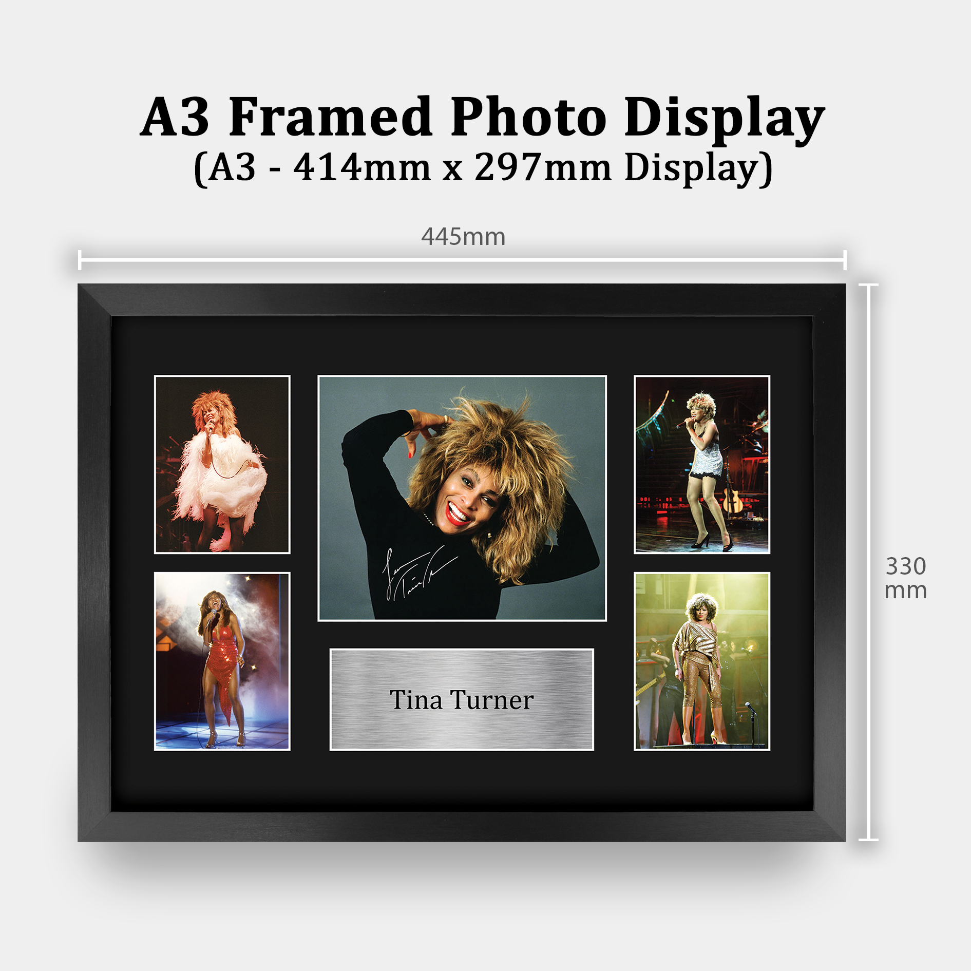 Tina Turner Signed Pre Printed Autograph A4 Photo Gift For a Blues Fan - Picture 19 of 24