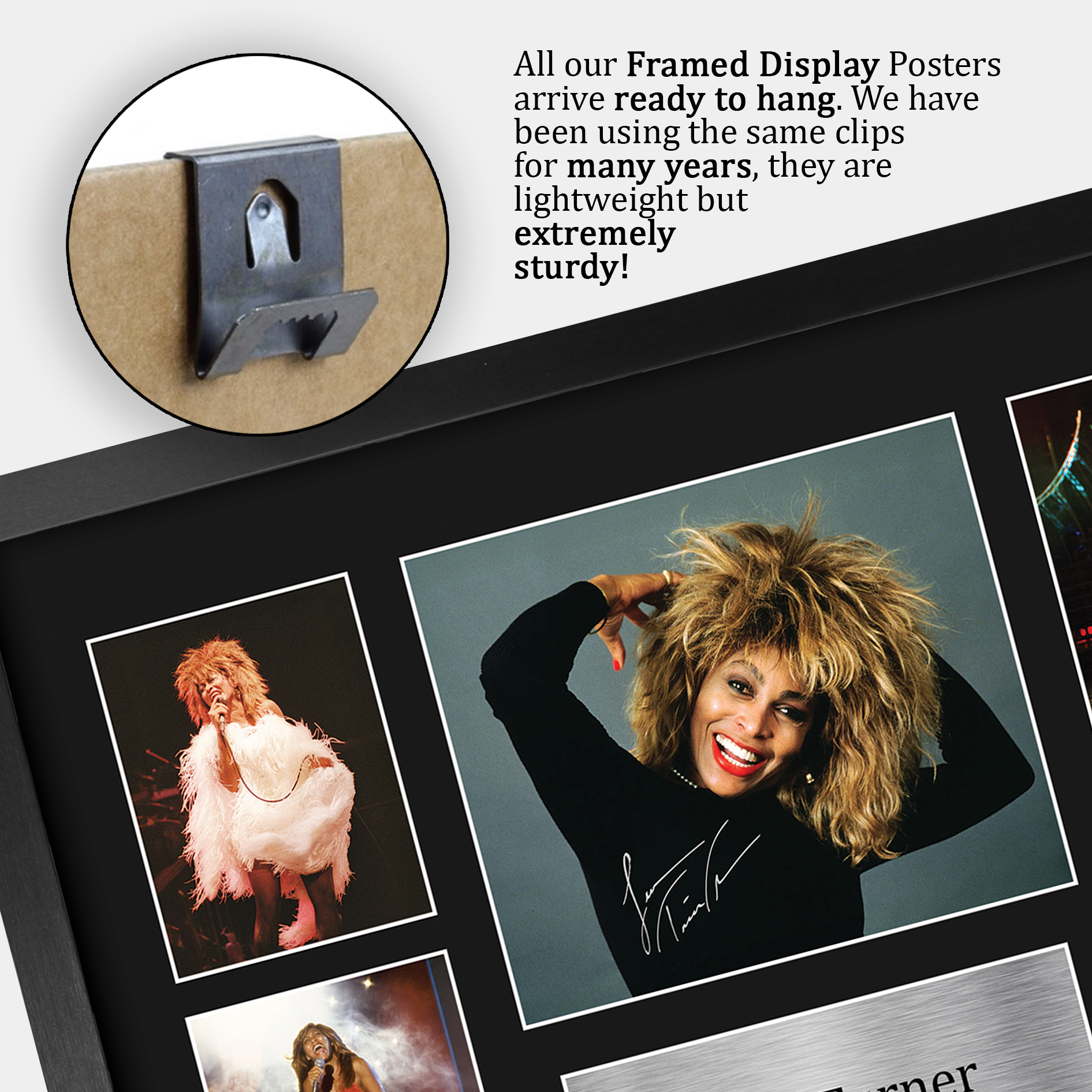 Tina Turner Signed Pre Printed Autograph A4 Photo Gift For a Blues Fan - Picture 22 of 24