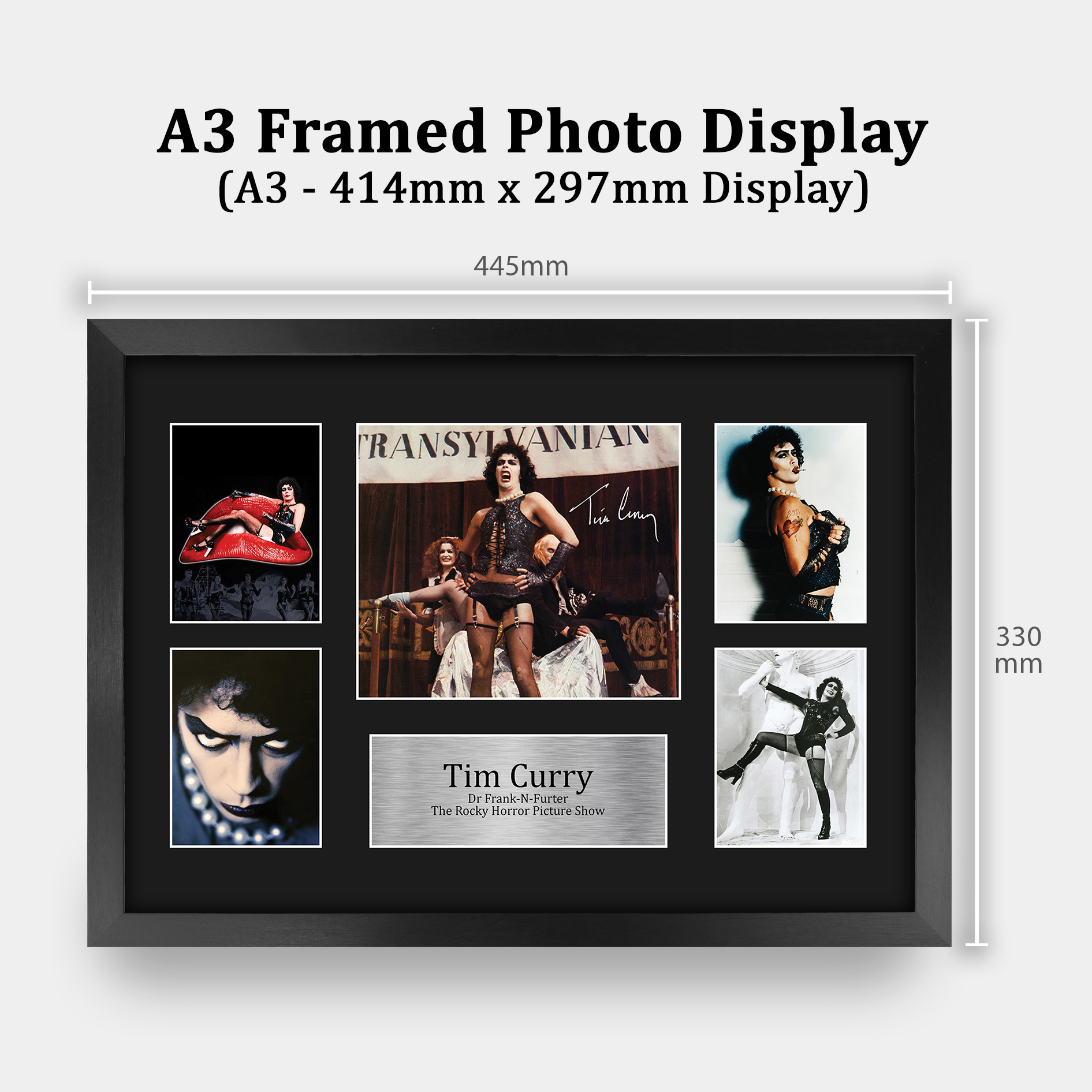 The Rocky Horror Picture Show Gift Framed Autograph Picture Print to Movie Fans - Picture 19 of 59