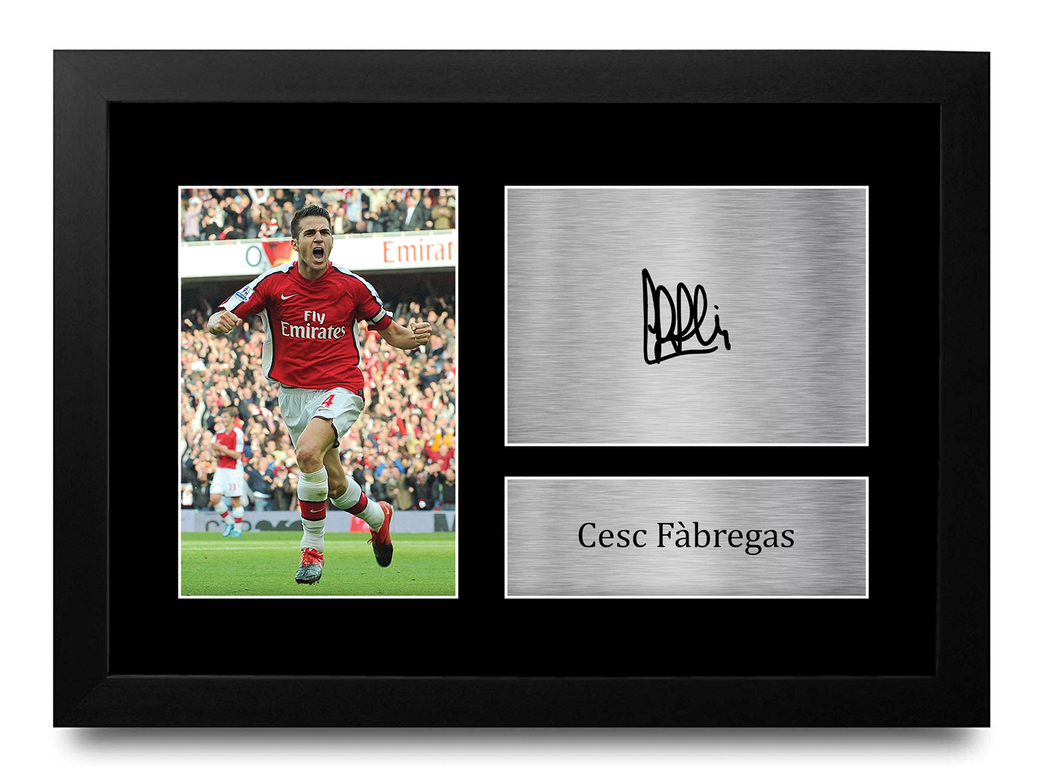 Cesc Fàbregas サイン入り写真 フレーム付き cesc-fabregas-signed-plaque-
