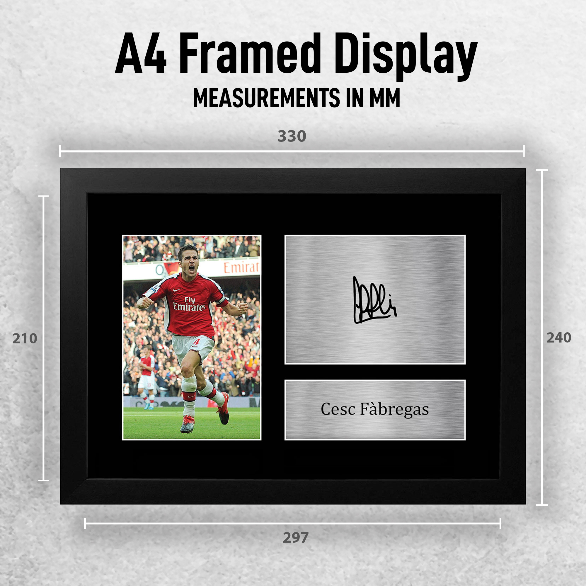 F_A4_C_FABREGAS_ARS_PHTO_EXTRA