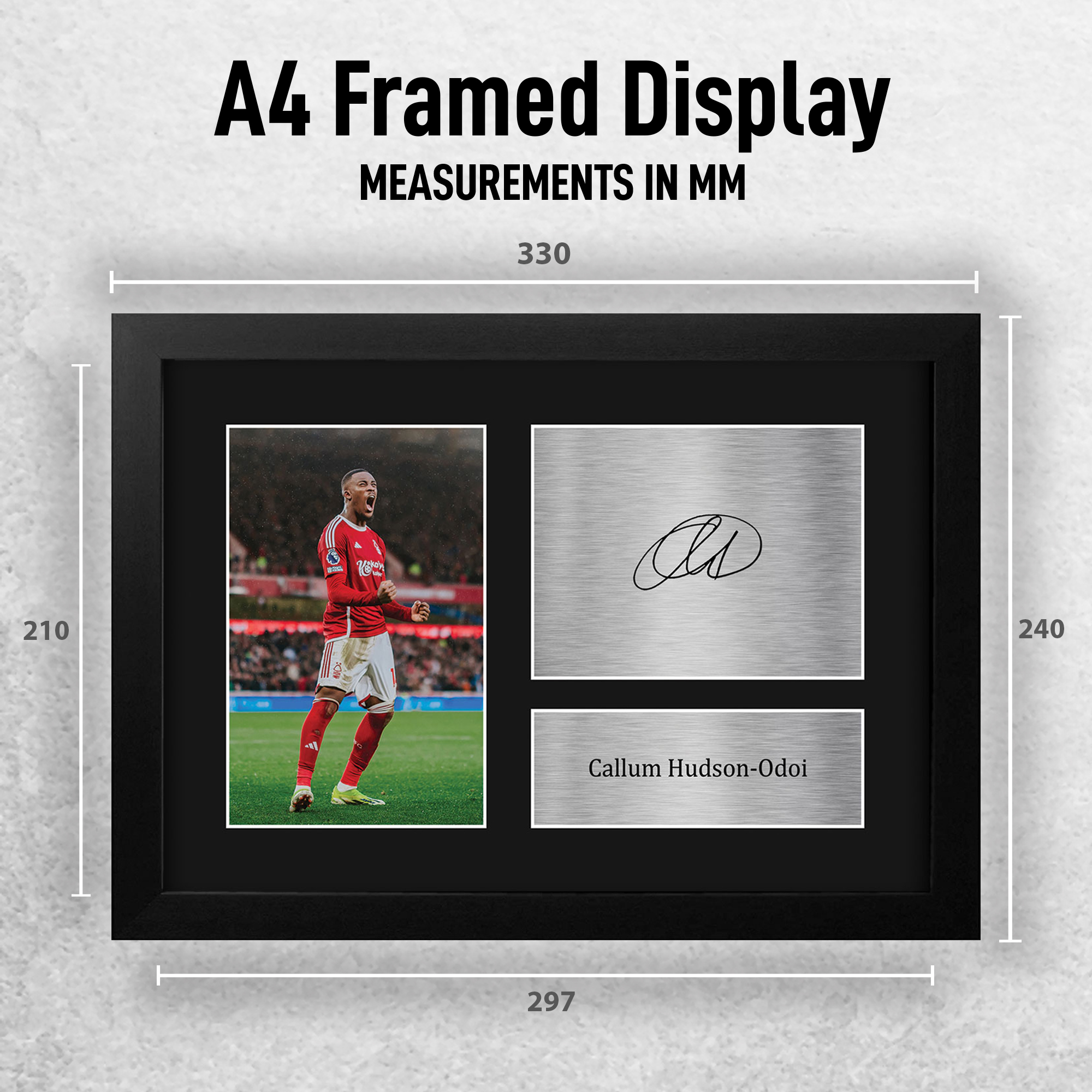 Foto autógrafa impresa Callum Hudson-Odoi Nottingham Forest de un fanático del fútbol americano - Imagen 11 de 17