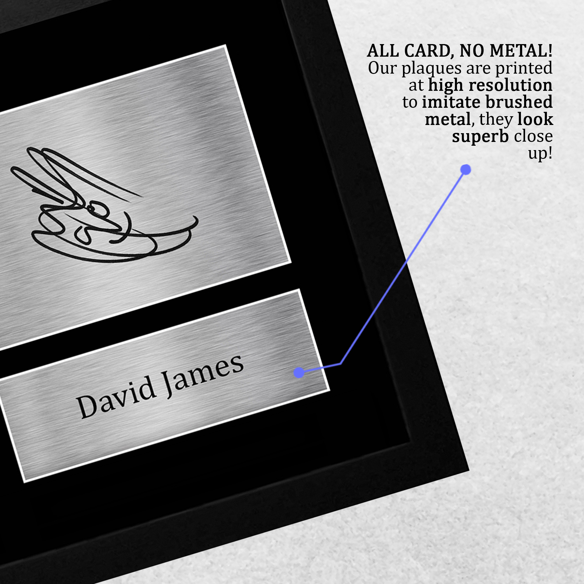David James Gift Ideas Printed Autograph A4 Picture for Football Fans