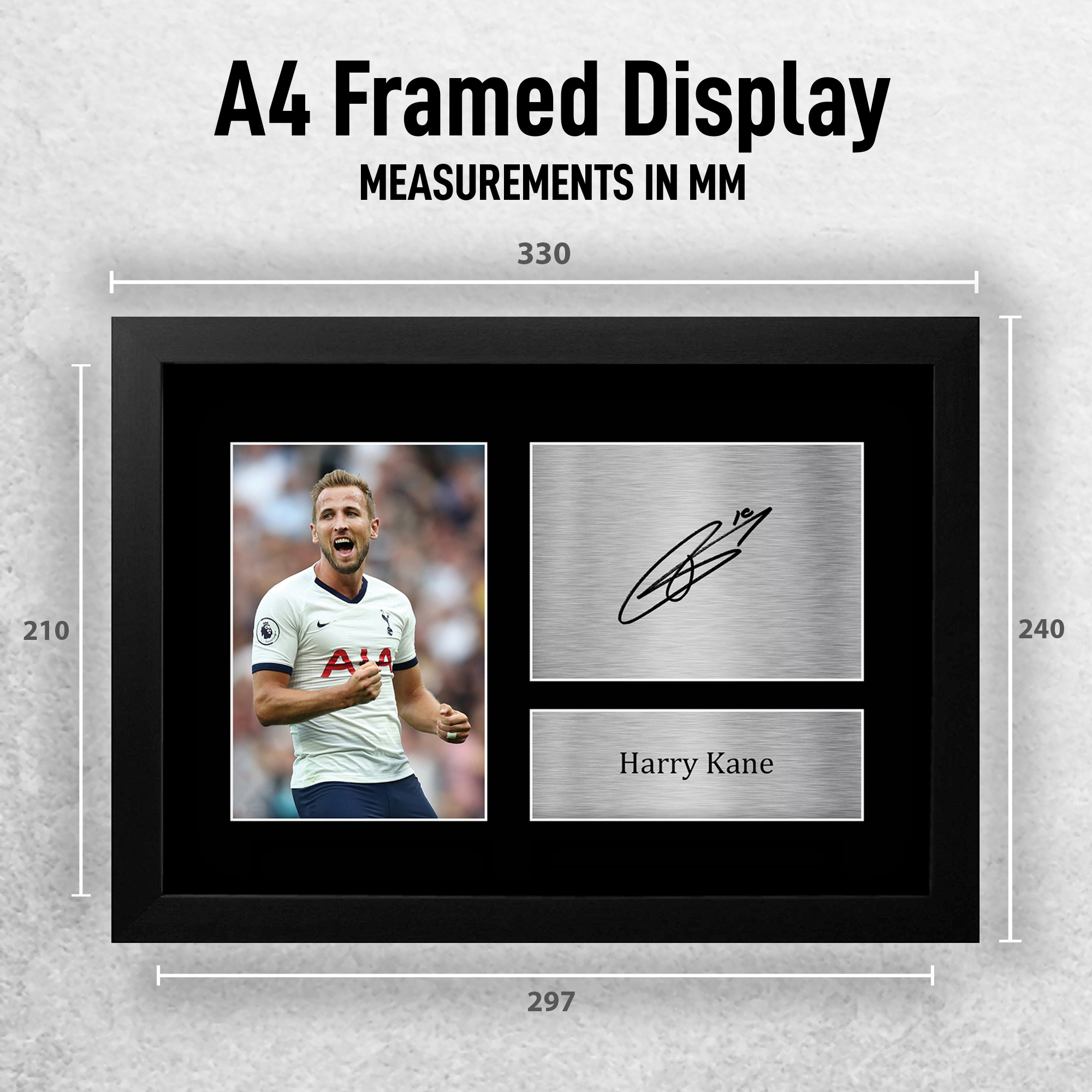 F_A4_H_KANE_SPURS_PHTO_EXTRA_1.jpg