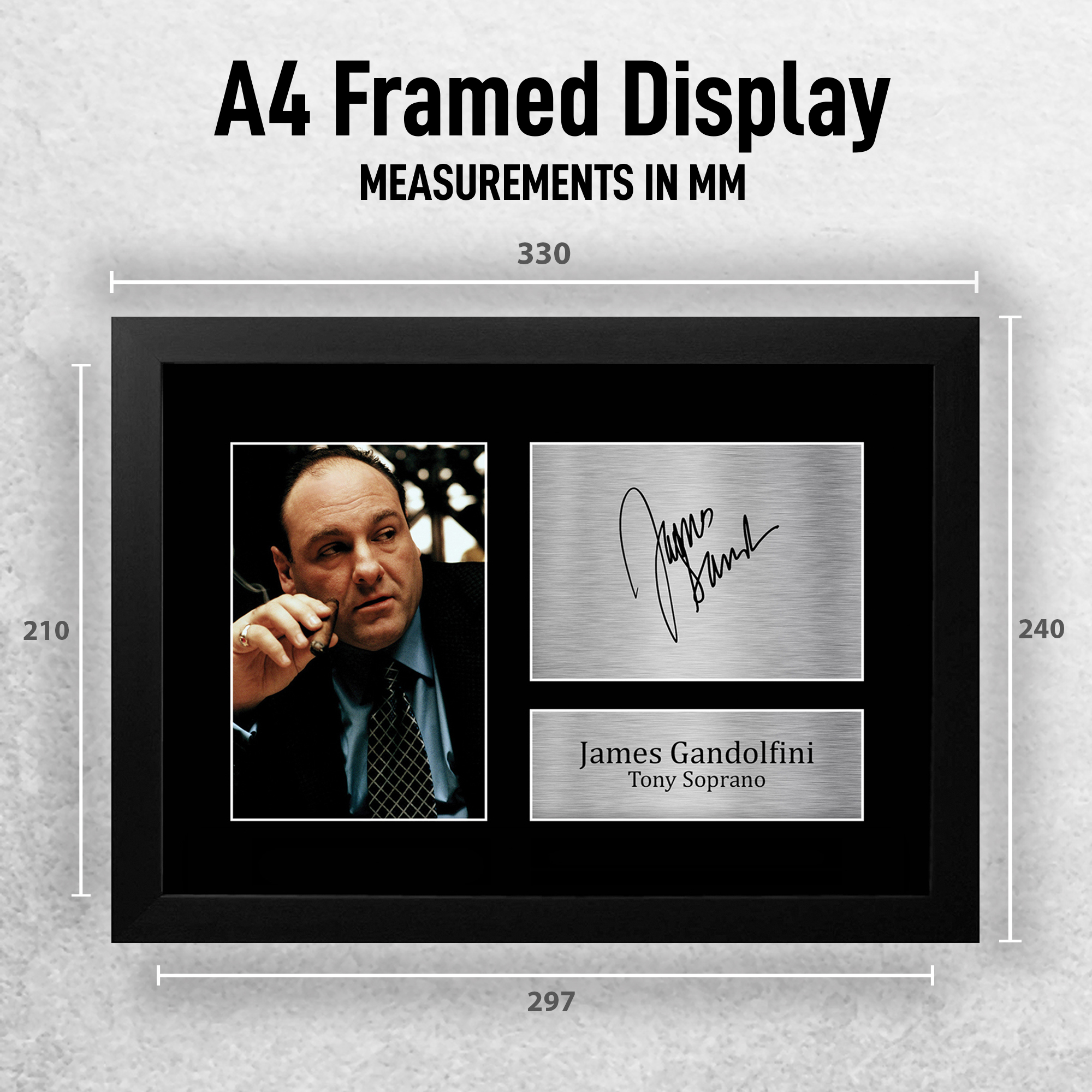 F_A4_JAMES_GANDOLFINI_PHTO_EXT