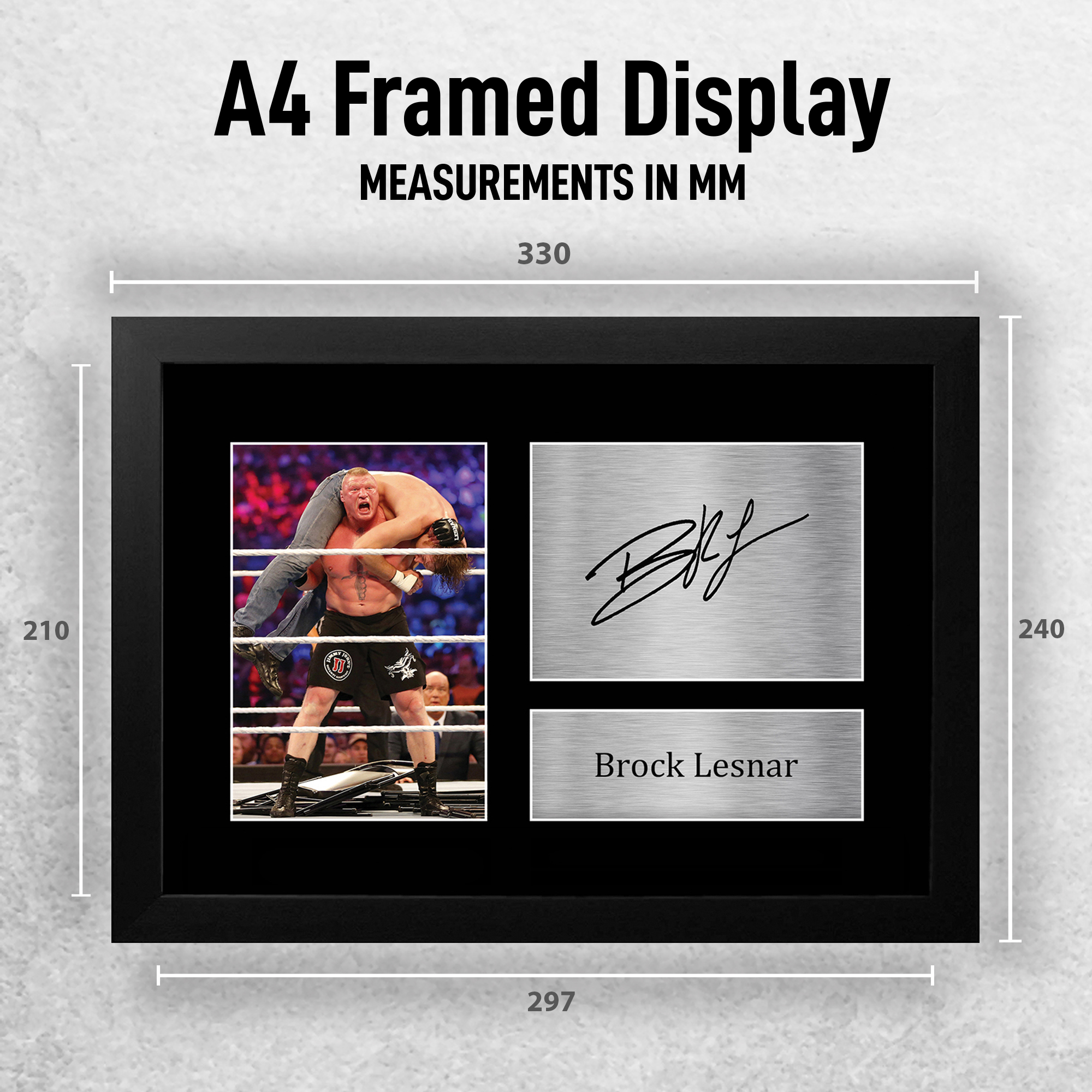 F_A4_LESNAR_WWE_PHTO_EXTRA_1.jpg