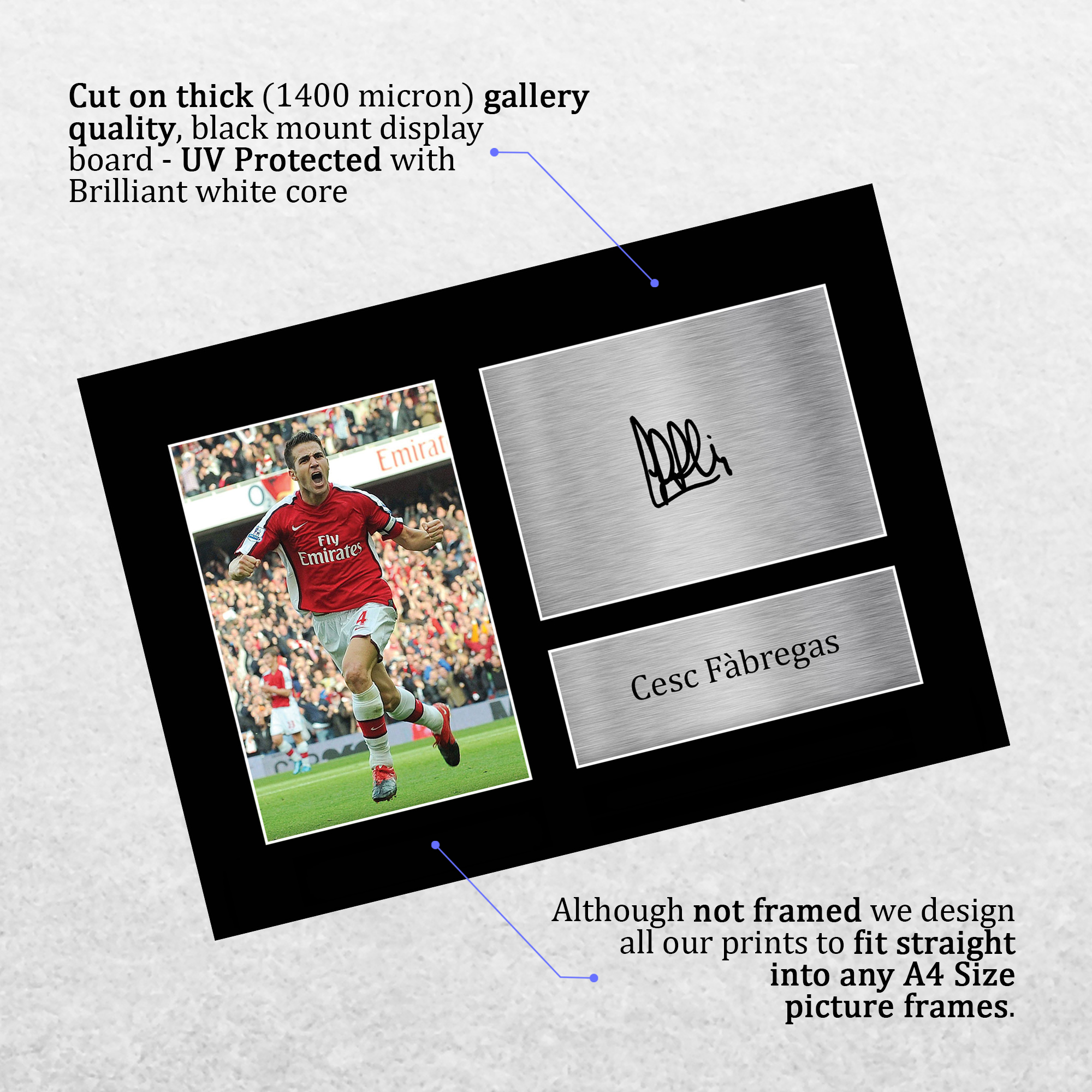 Cesc Fàbregas サイン入り写真 フレーム付き Cesc Fàbregas サイン入り写真 フレーム付き Cesc Fàbregas