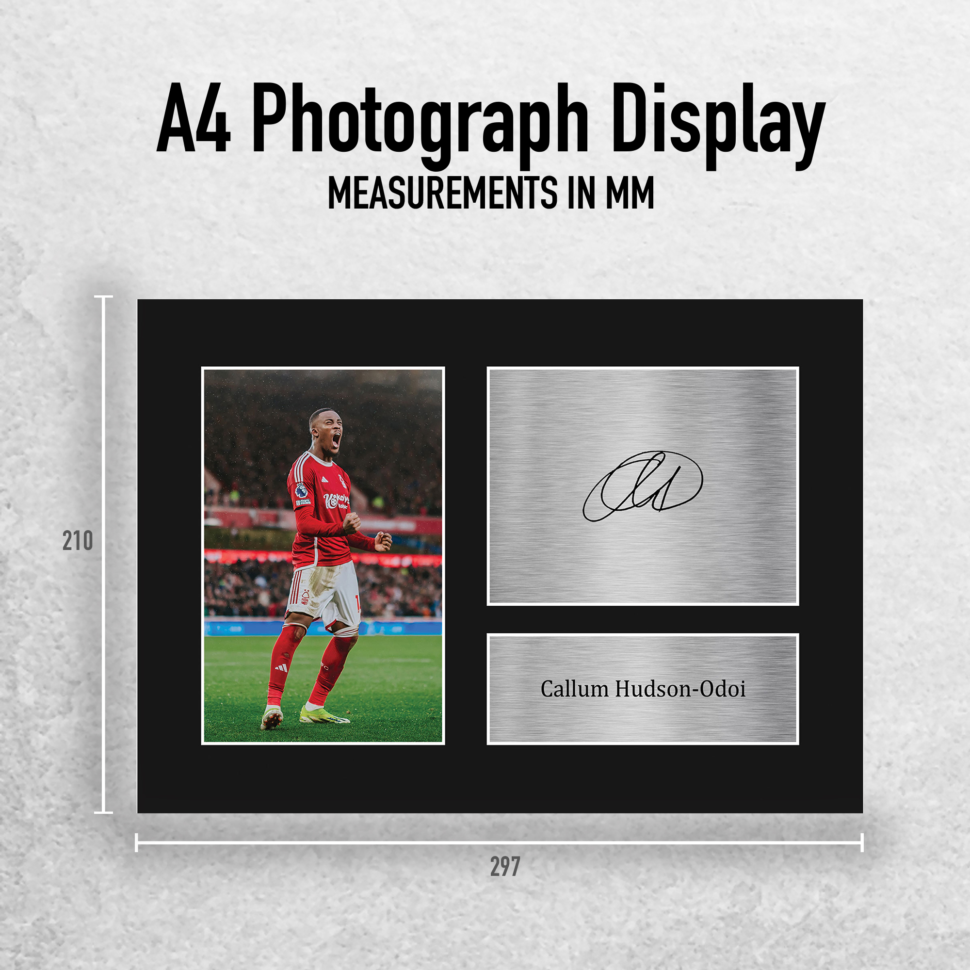 Foto autógrafa impresa Callum Hudson-Odoi Nottingham Forest de un fanático del fútbol americano - Imagen 3 de 17