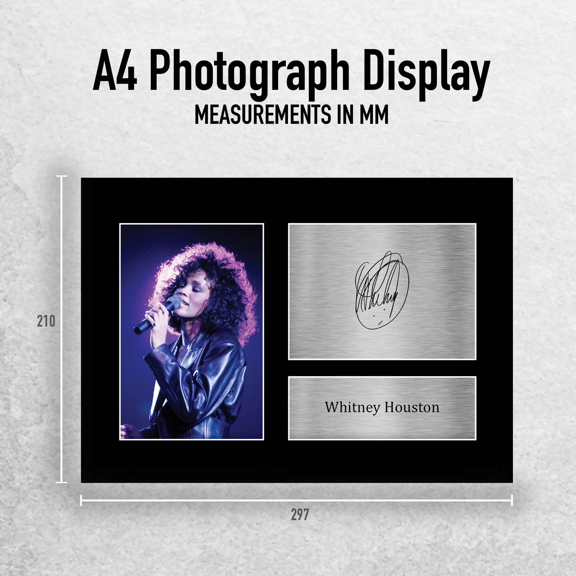 U_A4_WHITNEY_HOUSTON_PHTO_EXTR